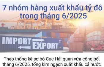 (INFORGRAPHICS): 7 nhóm hàng xuất khẩu tỷ USD trong tháng 6/2025