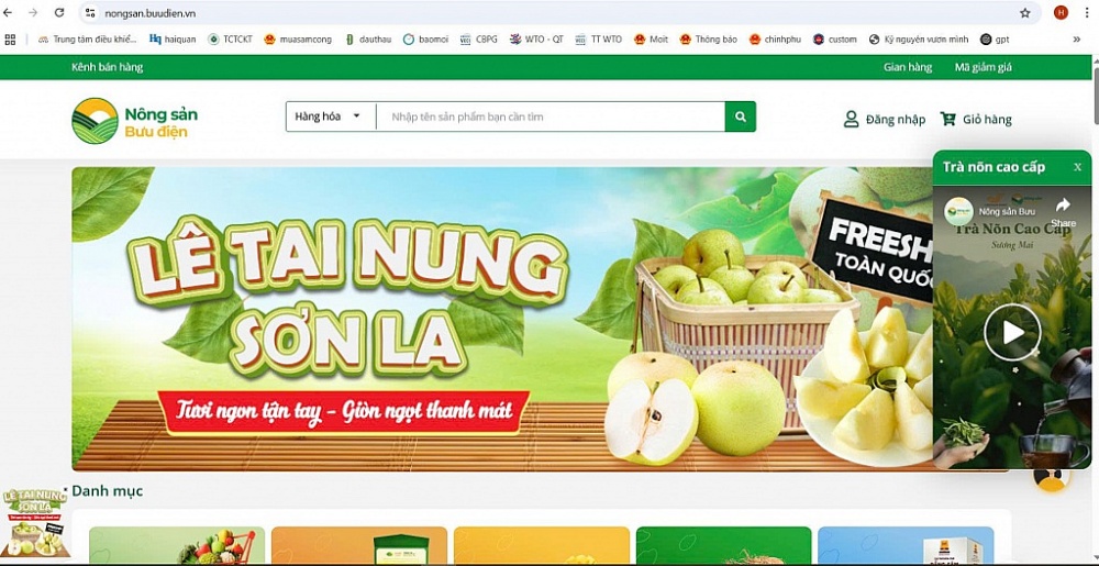 Xuất khẩu cà phê qua sàn thương mại điện tử: Hướng đi mới cho nông sản Việt