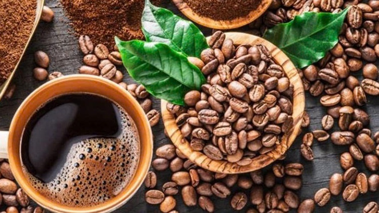 Tây Ban Nha, Algeria trở thành điểm sáng mới của cà phê Việt