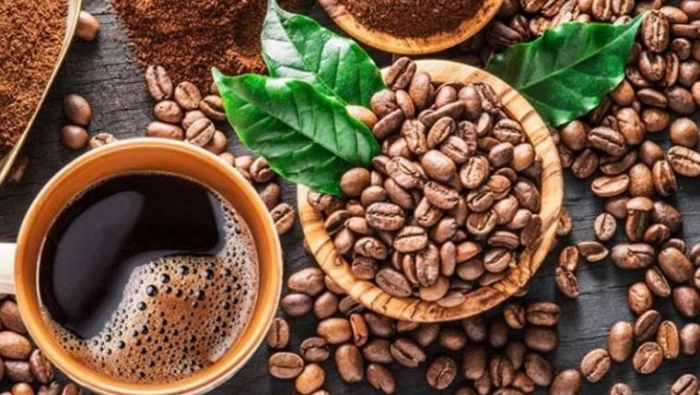 Tây Ban Nha, Algeria trở thành điểm sáng mới của cà phê Việt