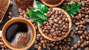 Tây Ban Nha, Algeria trở thành điểm sáng mới của cà phê Việt