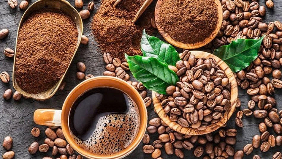 Tây Ban Nha, Algeria trở thành điểm sáng mới của cà phê Việt