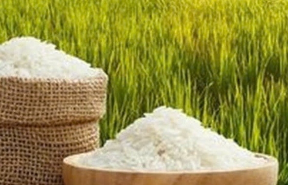 Bắc Ninh chuyển đổi số, đưa nông sản lên sàn thương mại điện tử