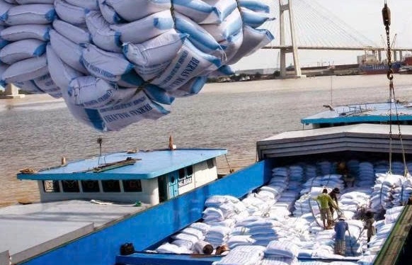 Gạo Việt Nam nâng tầm giá trị từ "ngọc thô" đến "ngọc quý"