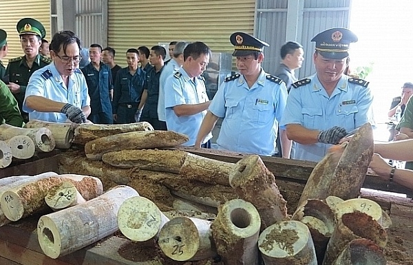 Chống buôn lậu sản phẩm động vật hoang dã thuộc danh mục CITES tại địa bàn Đà Nẵng