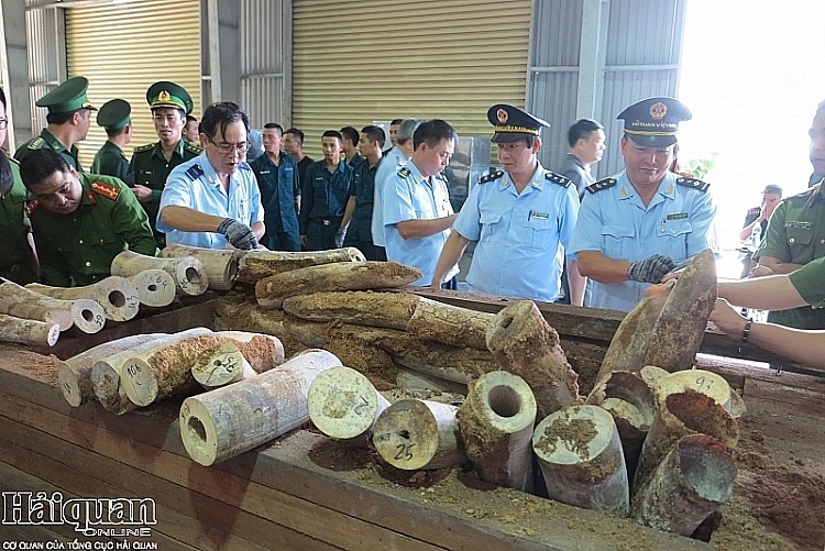 Chống buôn lậu sản phẩm động vật hoang dã thuộc danh mục CITES tại địa bàn Đà Nẵng