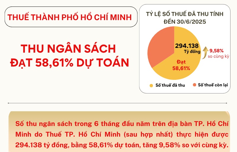 INFOGRAPHICS: 6 tháng đầu năm, Thuế TP. Hồ Chí Minh thu ngân sách đạt 294.138 tỷ đồng
