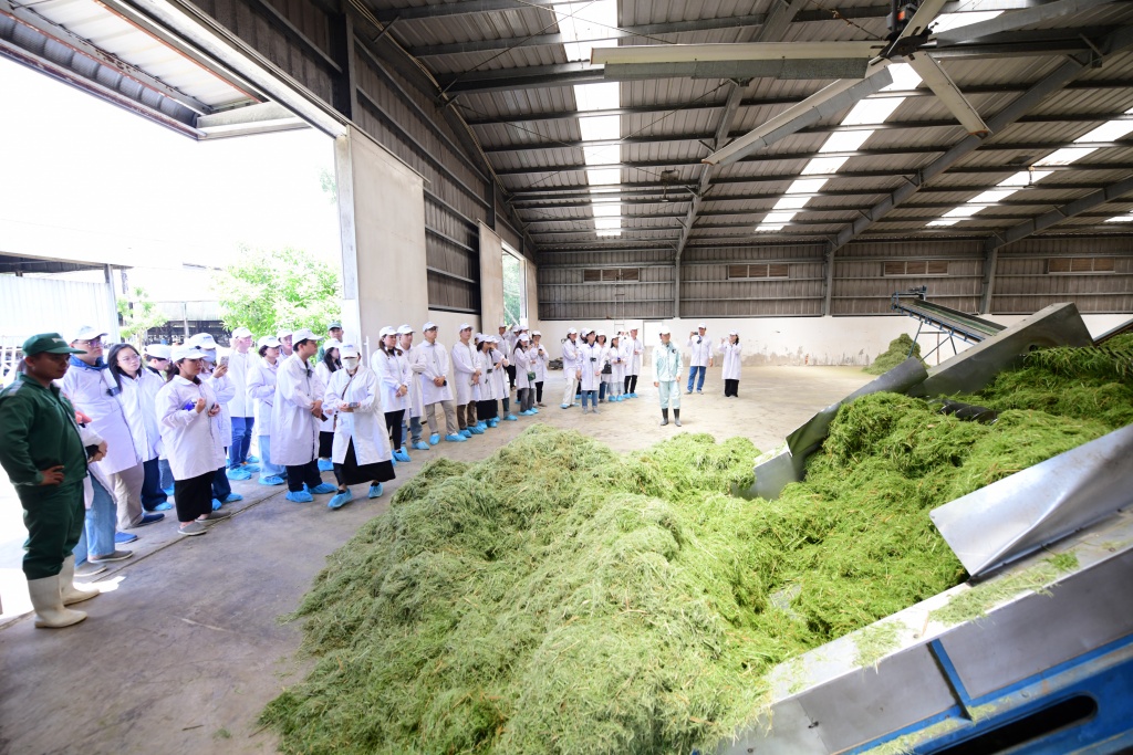 Trang trại Vinamilk Green Farm dưới lăng kính phát triển bền vững có gì đặc biệt?