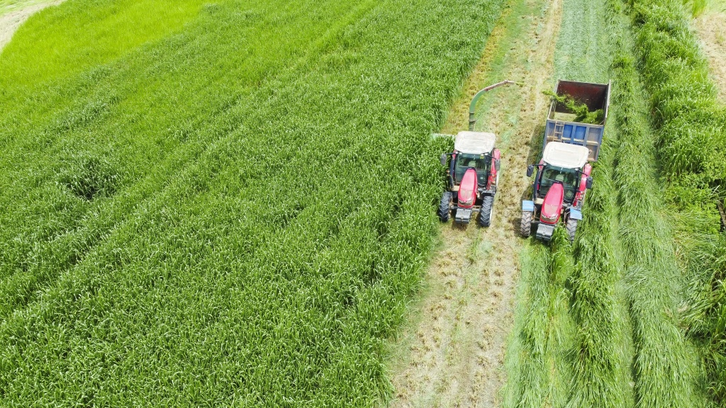 Trang trại Vinamilk Green Farm dưới lăng kính phát triển bền vững có gì đặc biệt?