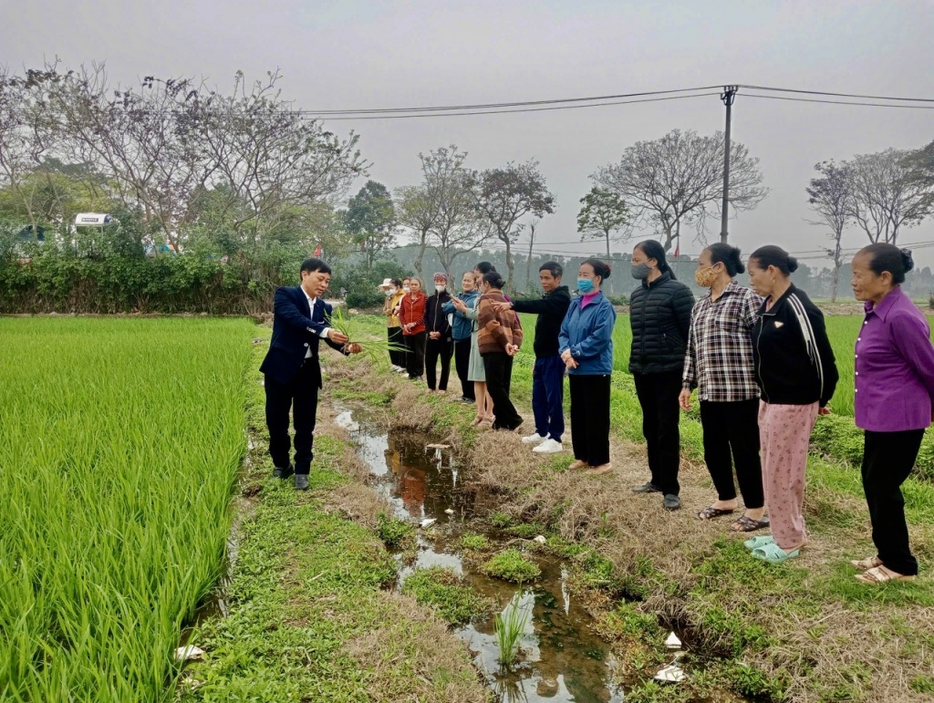 Hướng dẫn sử dụng biên lai điện tử trong thu thuế sử dụng đất phi nông nghiệp