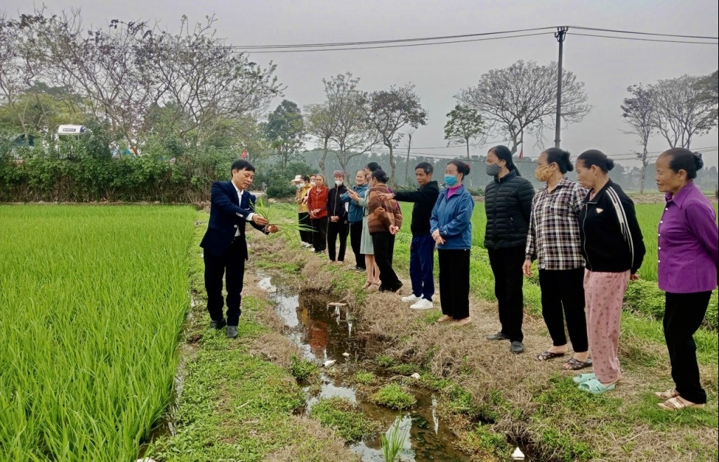 Hướng dẫn sử dụng biên lai điện tử trong thu thuế sử dụng đất phi nông nghiệp