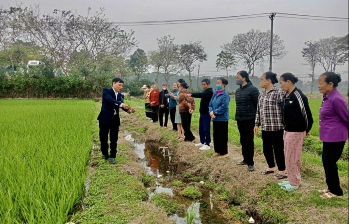 Hướng dẫn sử dụng biên lai điện tử trong thu thuế sử dụng đất phi nông nghiệp
