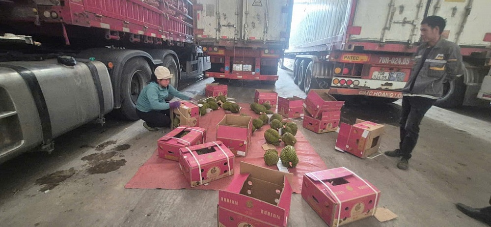 Trung Quốc bật đèn xanh cho sầu riêng Việt Nam