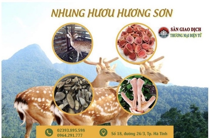 Hợp tác xã Hà Tĩnh đầu tư công nghệ, bắt nhịp thương mại điện tử