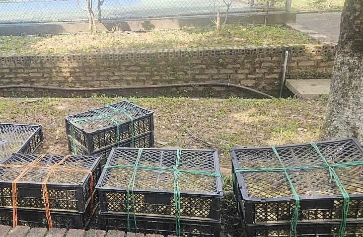 Hàng hóa vi phạm bị lực lượng chức năng thu giữ.