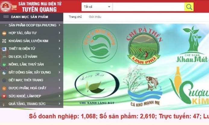Tuyên Quang: Phụ nữ nông thôn làm chủ thương mại điện tử