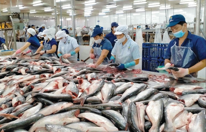 Tìm chìa khóa để mở rộng xuất khẩu