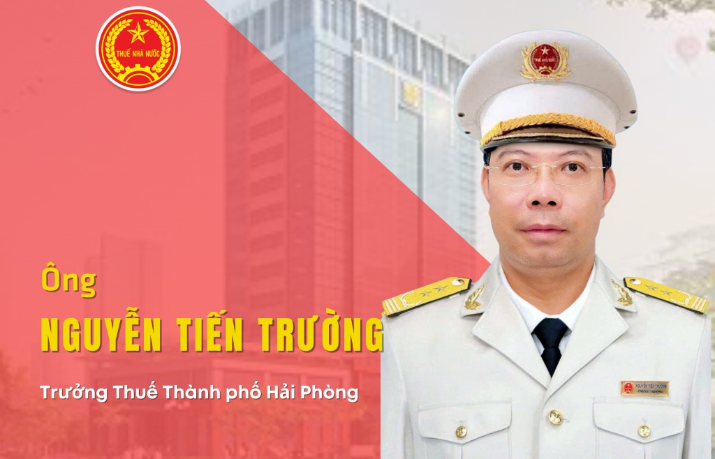 (INFOGRAPHICS): Cơ cấu tổ chức Thuế thành phố Hải Phòng