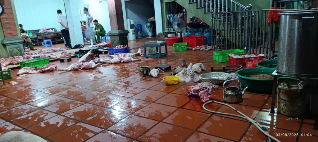 Hưng Yên ngăn chặn đưa ra thị trường hơn 1 tấn lợn nhiễm dịch tả châu Phi