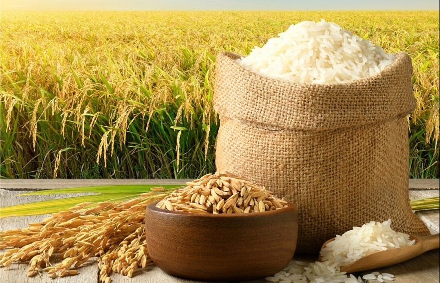 Philippines cấm nhập khẩu, giá gạo Việt Nam tăng vọt
