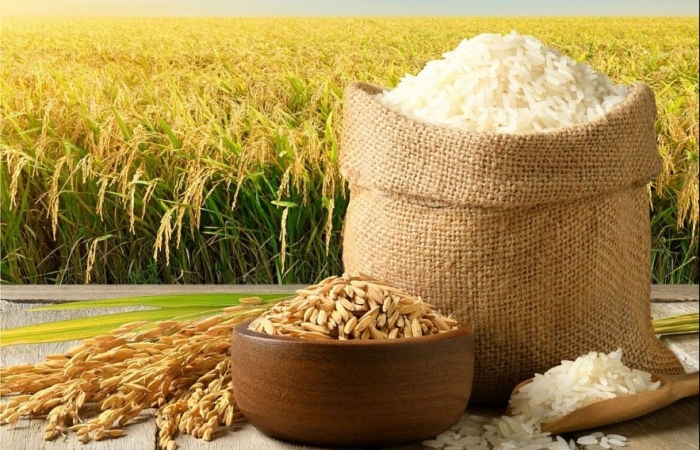Philippines cấm nhập khẩu, giá gạo Việt Nam tăng vọt
