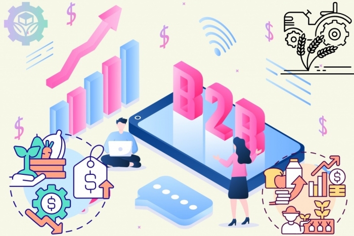 Xây dựng các sàn giao dịch nông sản Việt Nam theo mô hình B2B hiện đại