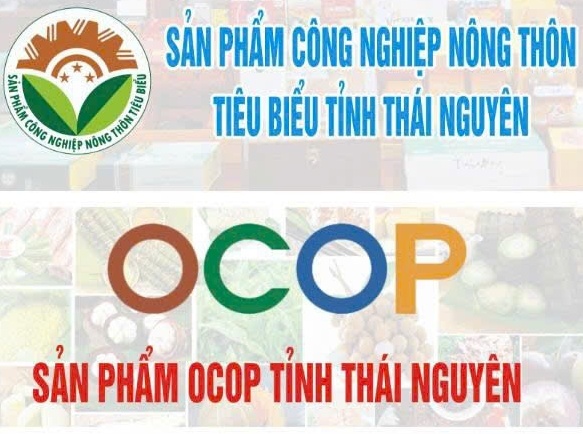 OCOP Thái Nguyên tiếp cận thương mại điện tử, mở rộng thị trường