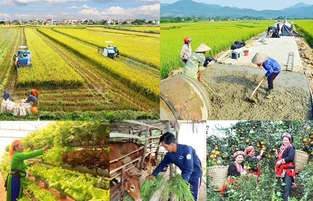 Đẩy mạnh xúc tiến thương mại, mở rộng, đa dạng hóa thị trường, hàng hóa xuất khẩu