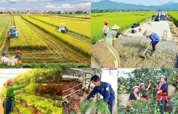 Đẩy mạnh xúc tiến thương mại, mở rộng, đa dạng hóa thị trường, hàng hóa xuất khẩu