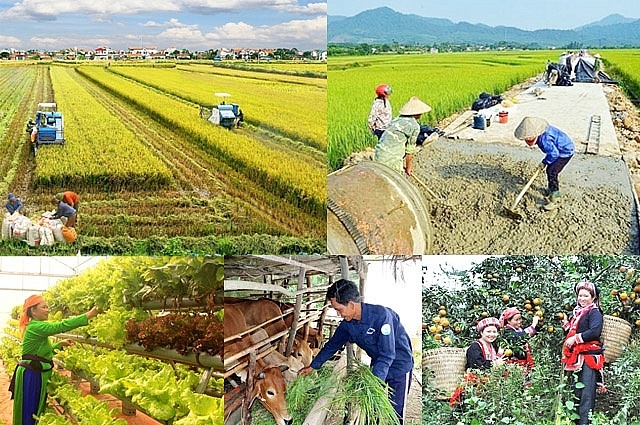 Đẩy mạnh xúc tiến thương mại, mở rộng, đa dạng hóa thị trường, hàng hóa xuất khẩu