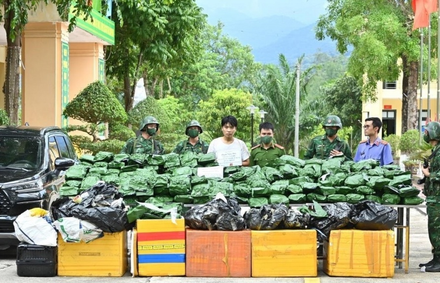 Hà Tĩnh: Đấu tranh bắt đối tượng vận chuyển 240 kg cần sa khô