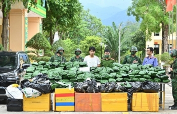 Hà Tĩnh: Đấu tranh bắt đối tượng vận chuyển 240 kg cần sa khô
