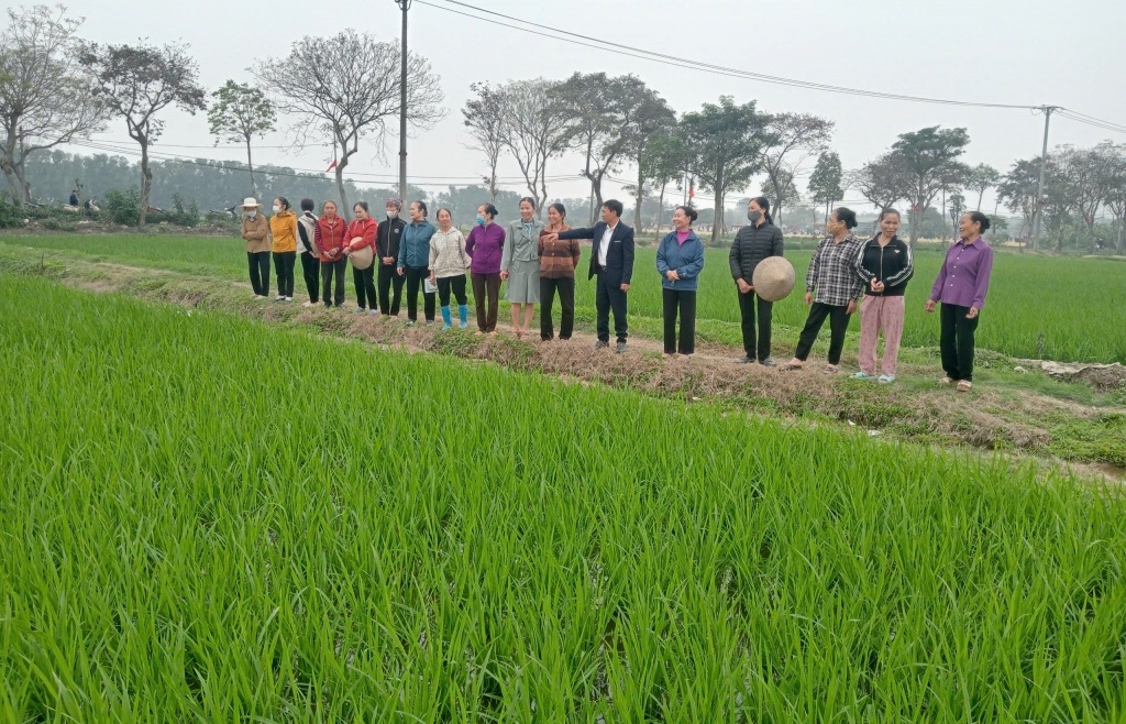 Hướng dẫn áp dụng thuế GTGT đối với sản phẩm nông sản