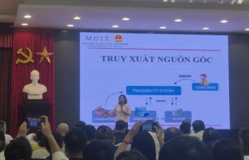 Bài 1: Định danh "Hàng Việt" trên "sân nhà" – Lỗ hổng pháp lý và hệ lụy nan giải