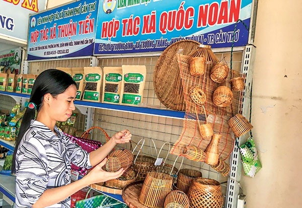 Triển khai mô hình hợp tác xã điện tử: Cần có lộ trình và cơ chế thử nghiệm