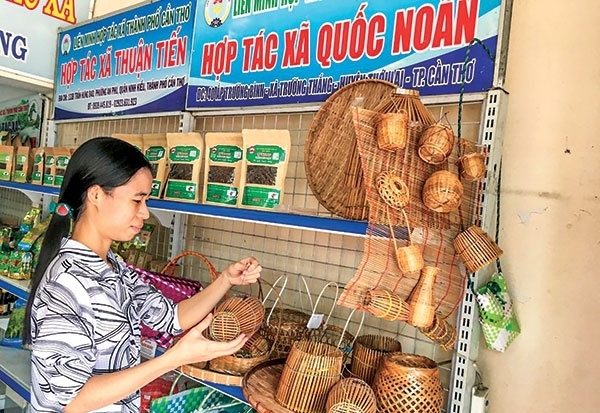 Triển khai mô hình hợp tác xã điện tử: Cần có lộ trình và cơ chế thử nghiệm