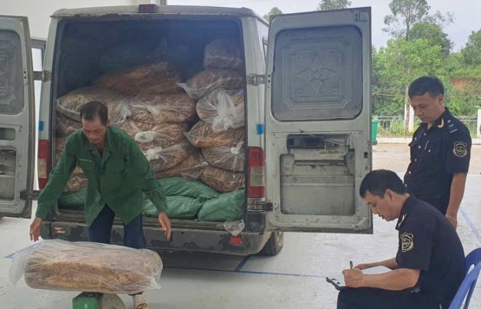 Hải quan khu vực XVI bắt vụ vận chuyển trái phép hơn 2 tấn lá thuốc lá ở Cao Bằng