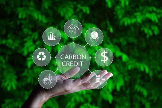 Sẽ tích hợp sàn giao dịch tín chỉ carbon với thương mại điện tử
