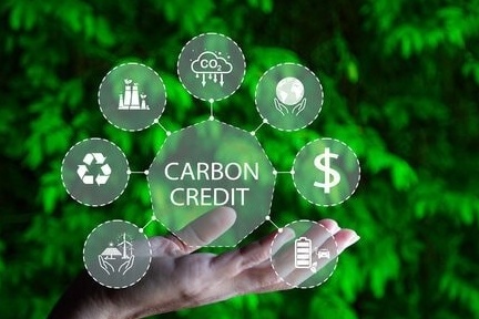 Sẽ tích hợp sàn giao dịch tín chỉ carbon với thương mại điện tử