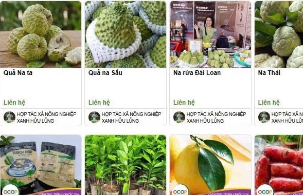 Lạng Sơn: Số lượng sản phẩm lên sàn thương mại điện tử thuộc nhóm cao nhất nước