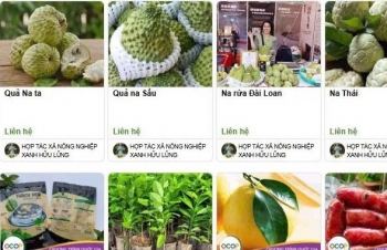 Lạng Sơn: Số lượng sản phẩm lên sàn thương mại điện tử thuộc nhóm cao nhất nước