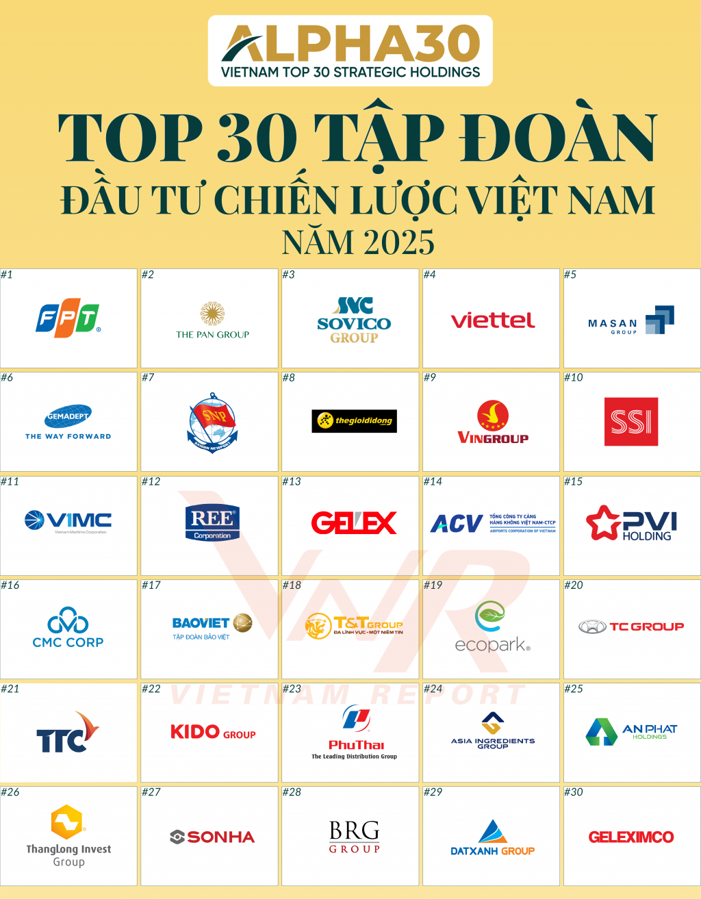 Top 30 tập đoàn chiến lược Việt Nam năm 2025