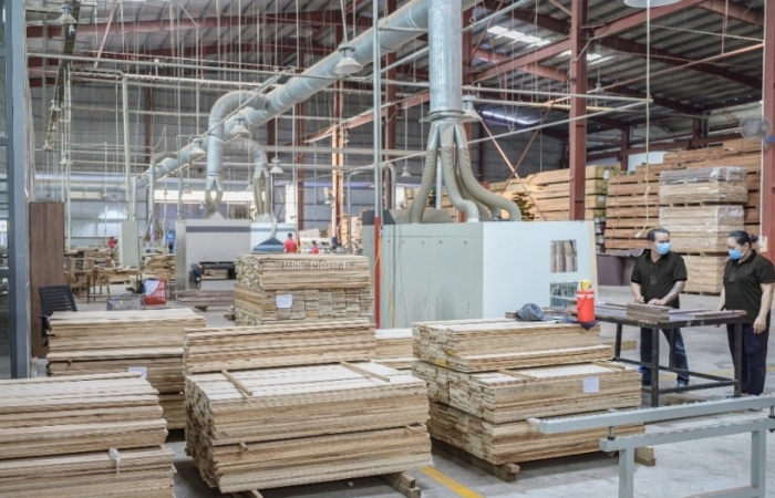 Công ty TNHH Timber Phoenix: Định hình tương lai xuất khẩu gỗ bền vững