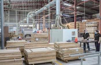 Công ty TNHH Timber Phoenix: Định hình tương lai xuất khẩu gỗ bền vững