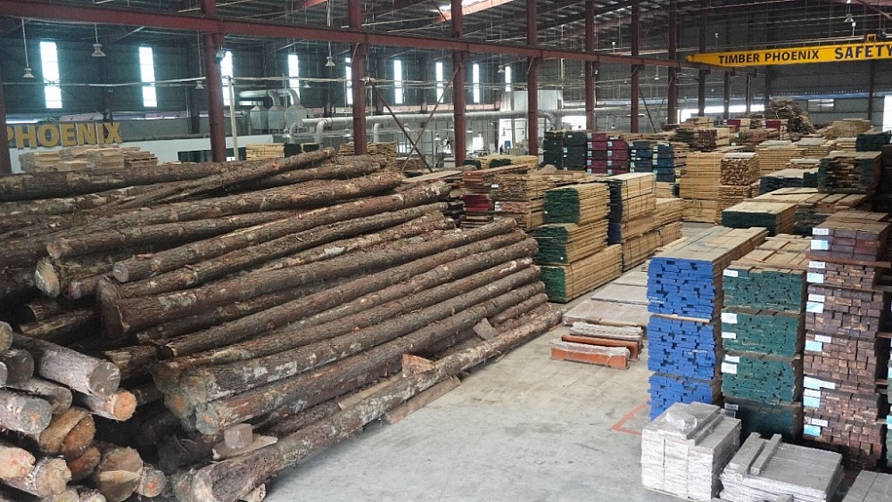 Công ty TNHH Timber Phoenix: Định hình tương lai xuất khẩu gỗ bền vững