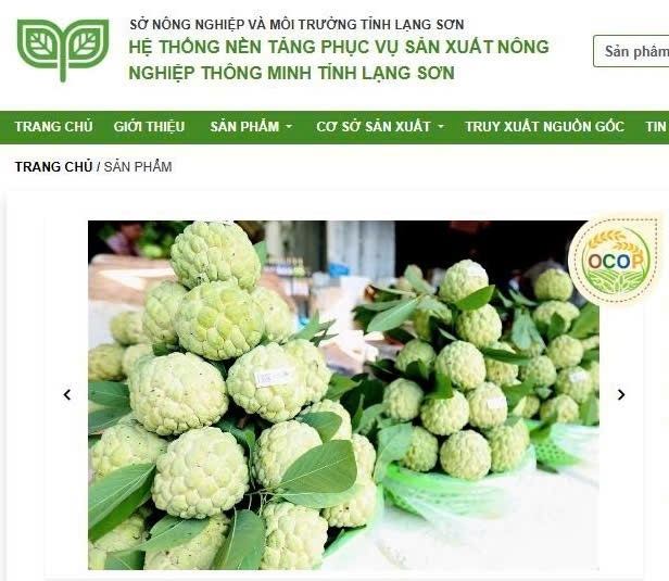 Lạng Sơn phát động phong trào "Bình dân học vụ số"