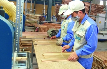 Xuất khẩu gỗ và sản phẩm tăng trưởng nhờ sự phục hồi từ thị trường