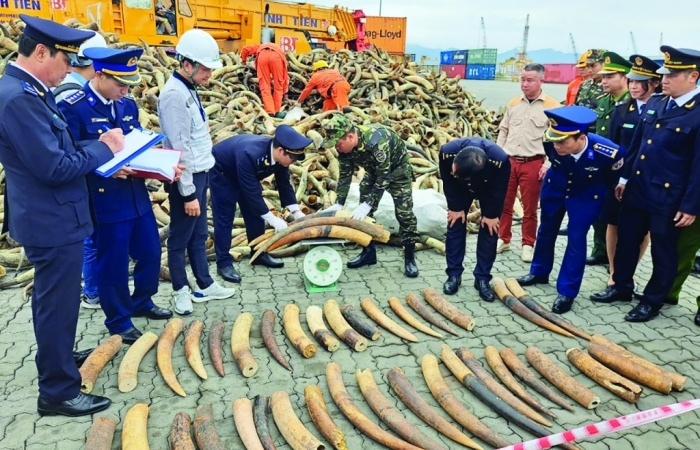 Từ vụ bắt ngà voi ở Hải Phòng: Xôn xao làng nghề
