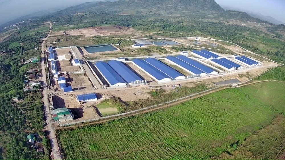 Dự án tổ hợp nông nghiệp công nghệ cao DHN Đắk Lắk do Hùng Nhơn và De Heus đầu tư. 	Ảnh: ST