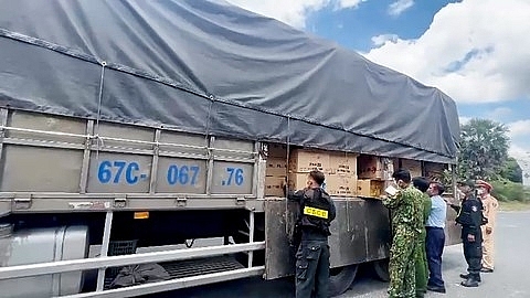 Tang vật xe chở hơn 700 thùng khẩu trang y tế từ TPHCM về An Giang chờ thời cơ xuất lậu qua Campuchia. 	Ảnh: Tiến Tầm